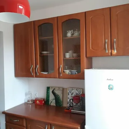 Modern Retro Apartament קטוביץ